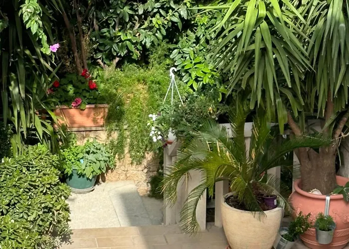 Apartment Bose Brela